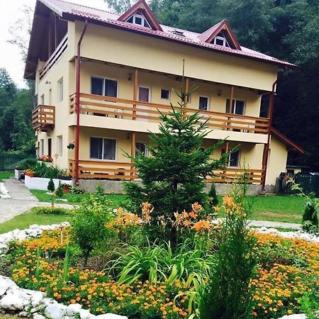 Отель Pensiunea La Padure Cheia, Prahova Maneciu Экстерьер фото