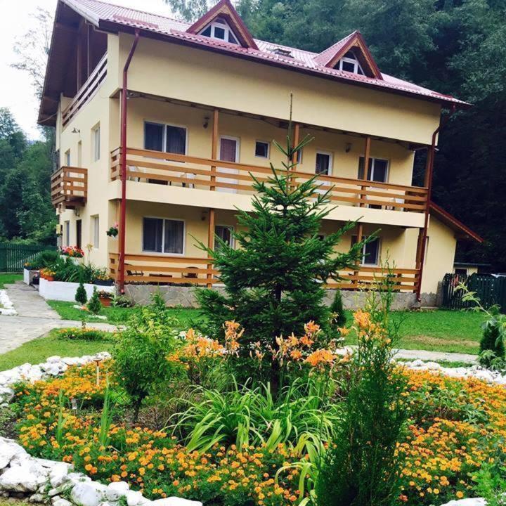 Отель Pensiunea La Padure Cheia, Prahova Maneciu Экстерьер фото