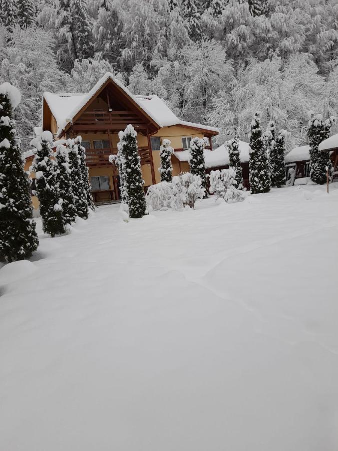 Отель Pensiunea La Padure Cheia, Prahova Maneciu Экстерьер фото