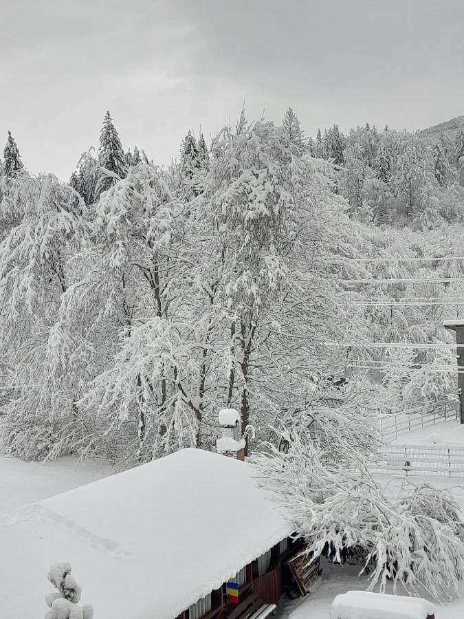Отель Pensiunea La Padure Cheia, Prahova Maneciu Экстерьер фото