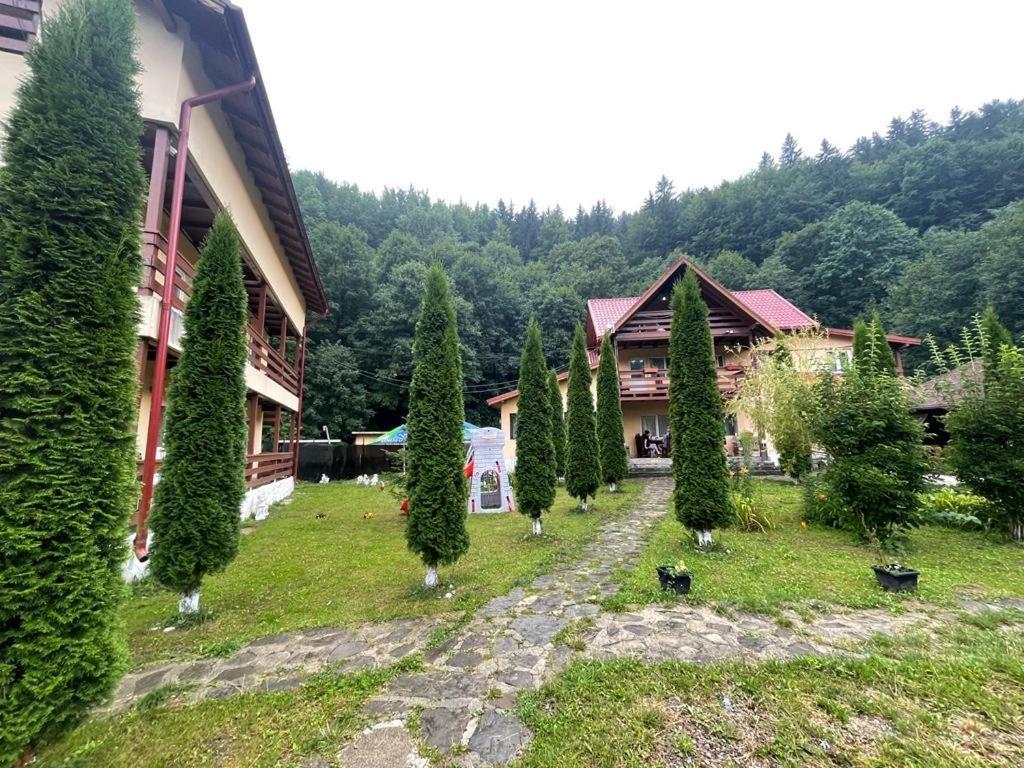 Отель Pensiunea La Padure Cheia, Prahova Maneciu Экстерьер фото