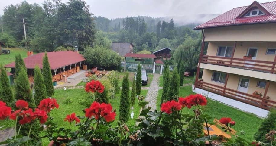 Отель Pensiunea La Padure Cheia, Prahova Maneciu Экстерьер фото